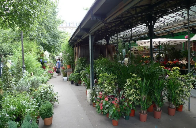 Flower Market Queen Elizabeth II
